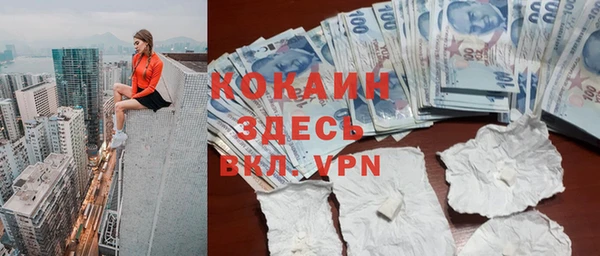 молекула духа Горняк