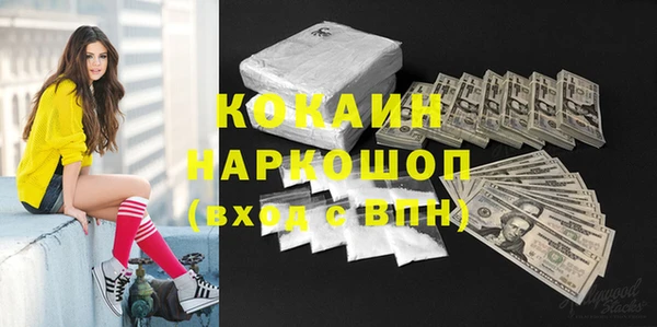 молекула духа Горняк