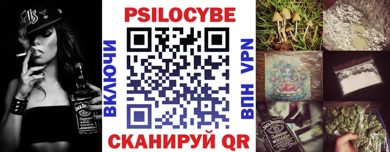 Купить где  Кашин  Галлюциногенные грибы Psilocybe 