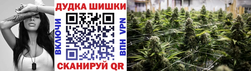 Бошки Шишки VHQ  Купить где  Кашин 